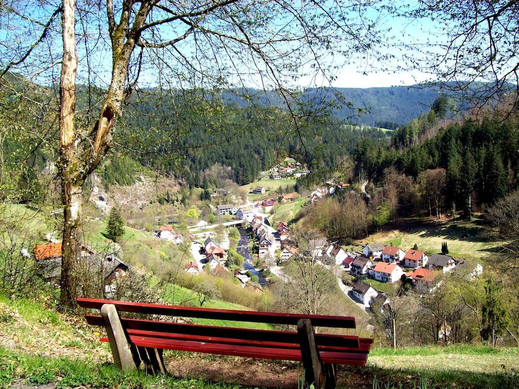 Landhaus Schwaben Schonmunzach Экстерьер фото